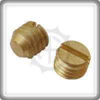 Brass Fasteners Fittings - 21